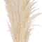 Hello Honey® 5.5ft. Natural Dried Pampas Grass Bunch